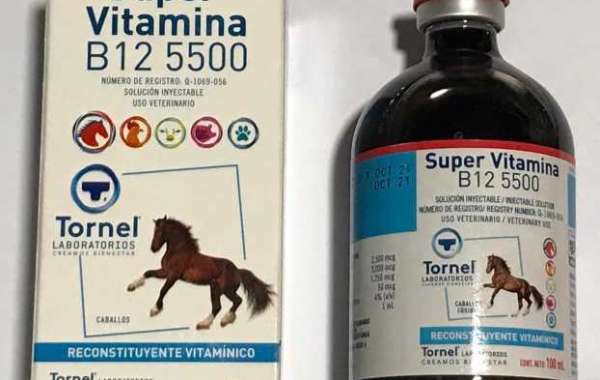 How To Know Which Vitamin Will Do Wonders For Your Horse?