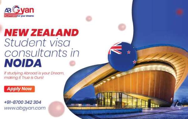 PG Diploma Programs to Study in New Zealand