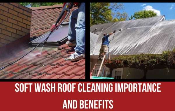 What Is No Pressure Soft Wash Roof Cleaning?