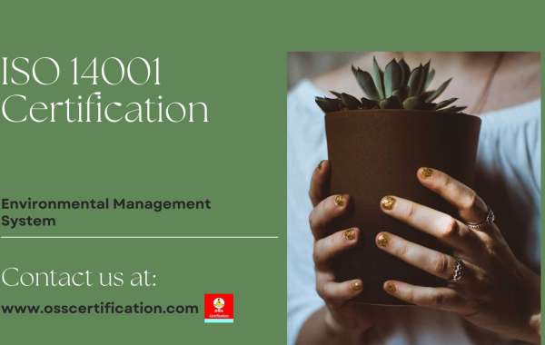 Importance Of Lead Auditor Training In ISO 14001 Certification