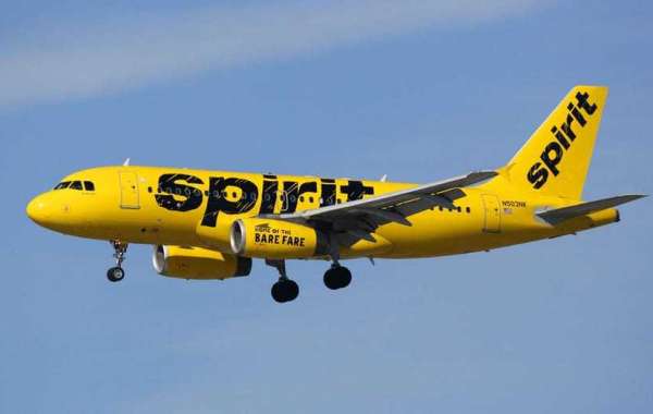 How do I Check My Reservation with Spirit Airlines Español?