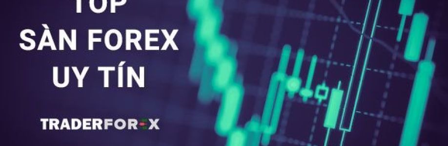 traderforex net7 Cover Image