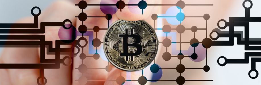 800 Crypto Cover Image