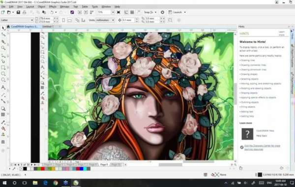 What is included in CorelDRAW graphics suite?