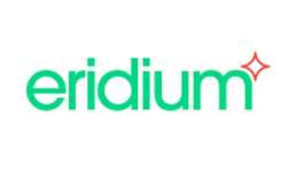 Eridium: Performance and Digital Marketing Company
