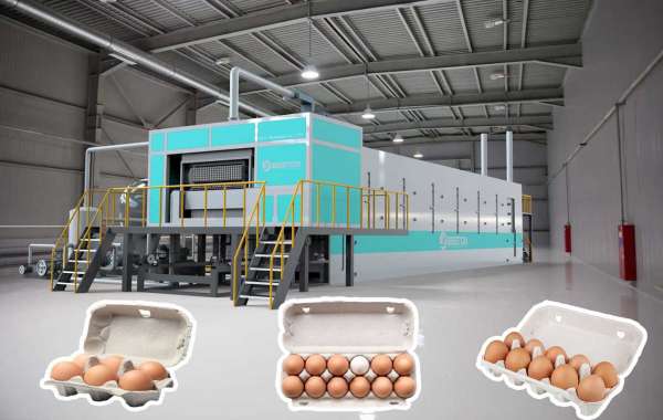 Finding The Right Egg Crate Making Machine For Sale