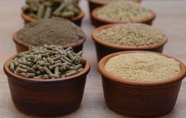 Feed Supplements Industry: Regional Application, Manufactures, and Forecast