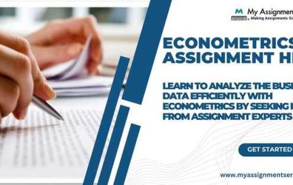 Learn to Analyze the Business Data Efficiently with Econometrics by Seeking Help from Assignment Experts