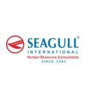 sea gull Profile Picture