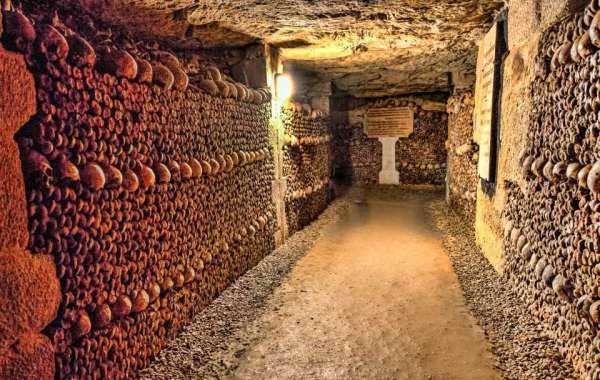 5 Things to do in Paris Catacombs Tours