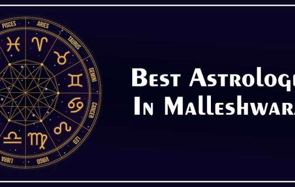 Best Astrologer in Malleshwaram | Genuine Astrologer