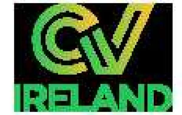 Executive CV Writing Help In Ireland