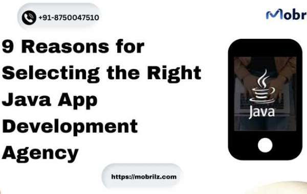 9 Reasons for Selecting the Right Java App Development Agency