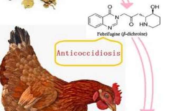 Poultry Anti-coccidiosis against malaria medicinal herb-Nutra Herb