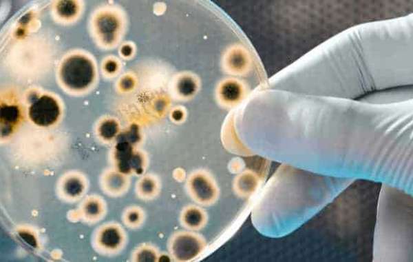 Install an Electrolytic Water Conditioner: Say Goodbye to Limescale