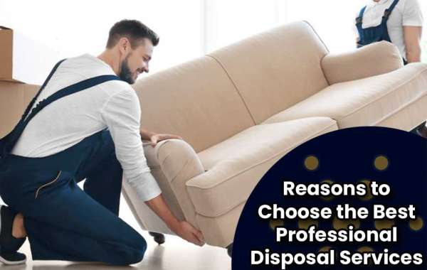 Reasons to Choose the Best Professional Disposal Services