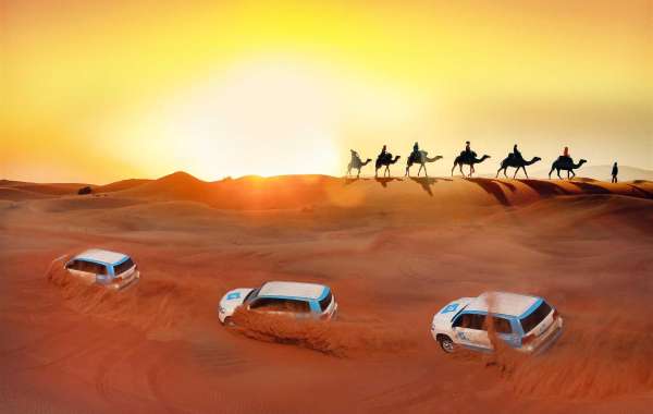 Your ultimate guide to spending the best morning desert safari in Dubai