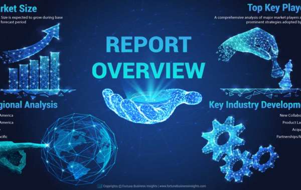 Human Hair Extension Market Size, Analysis, Share, Research, Business Growth and Forecast to 2029