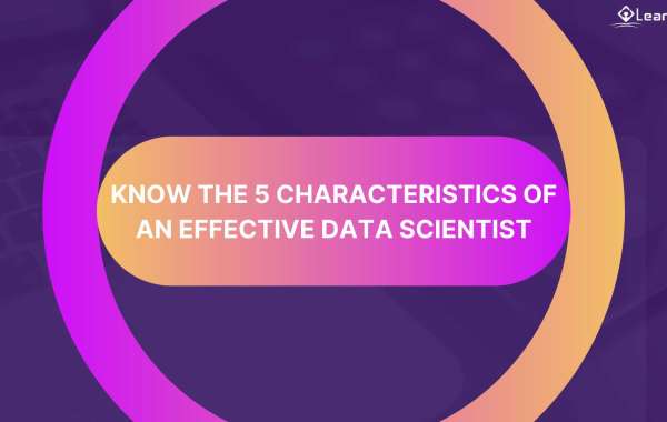 Know The 5 Characteristics of an Effective Data Scientist