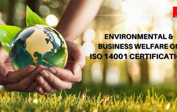 Environmental And Business Welfare Of ISO 14001 Certification