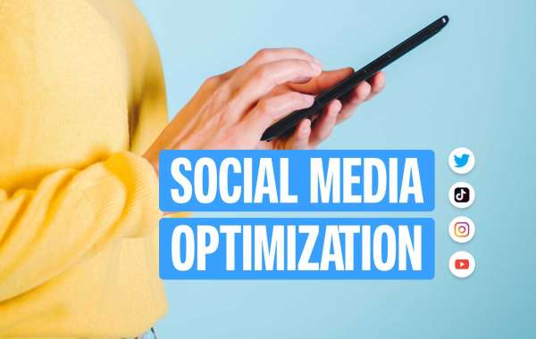 The Benefits of  a Social Media Marketing Magicalabs Company in Bareilly