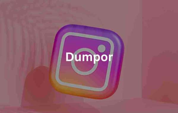 Dumpor: Instagram Anonymous Story Viewer and Alternatives