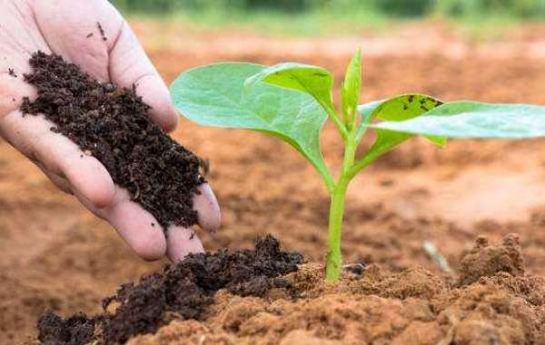 India Organic Fertilizer Market 2017-2027: Trends, Opportunities, and Forecasts | TechSci Research