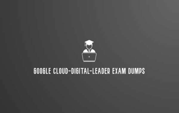 Google Cloud-Digital-Leader Exam Que