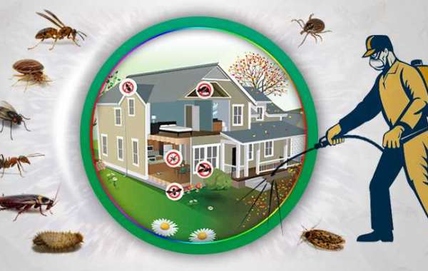 Tips For Effective Pest Control In Dhaka