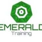 davidsmith1 Profile Picture