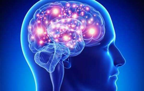 Epilepsy Market Size, Share, Key Players, Revenue, Demand, and Forecast 2031