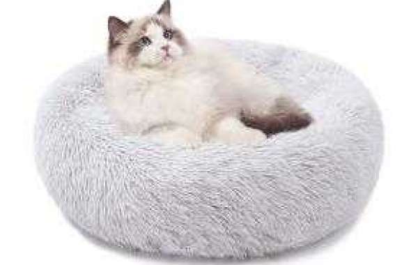 Canine Beds for Most extreme Solace and Backing - The Ideal Rest for Your Pet