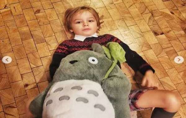 Where To Buy Warmies and Totoro plush in the UK?