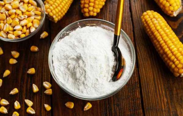 Corn Starch Market share,Current Trends And Forecast Till 2030