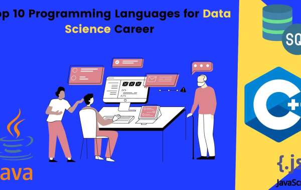 Top 10 Programming Languages for Data Science Career