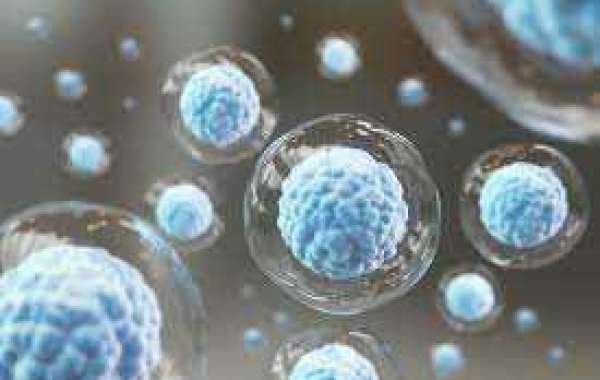 India Stem Cell Market 2026: Emerging Opportunities | TechSci Research