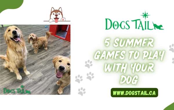 Dogs Tail - 5 Summer Games to Play with Your Dog