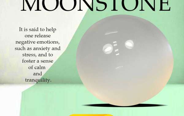 Article Picture