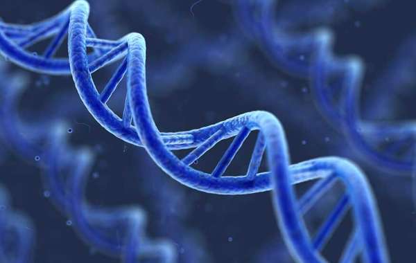 Genomics Market In-Depth Analysis, Growth Strategies and Comprehensive Forecast to 2032