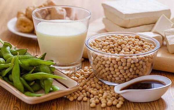 Soy-Based Chemicals Market Size, Share, Emerging Opportunities with Current Trends and Forecast 2020 to 2028