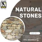 Luca Schipper Profile Picture