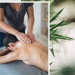 cannaorganicgreen cbdgummies Profile Picture