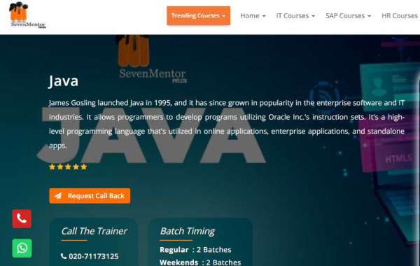 What are the basics of Java programming?