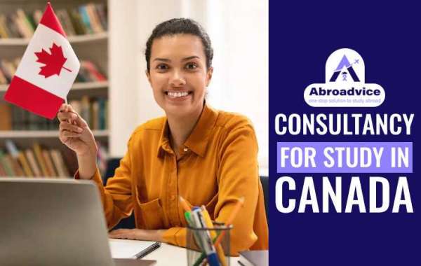4 Reasons to Hire Consultancy For Study in Canada
