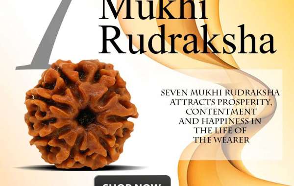 Shop 7 Mukhi Rudraksha Online At best Price