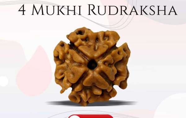 Buy 4 Mukhi Rudraksha At Best Price In India