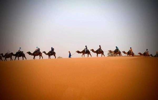 Morocco desert camping