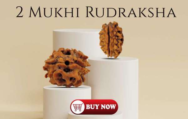 Buy 2 Mukhi Rudraksha At Best Price In India