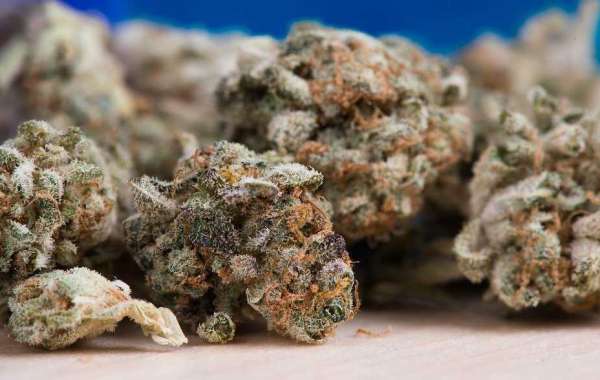 Discover the Best of Both Worlds: Top 10 Hybrid Strains