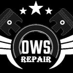 ows repair Profile Picture